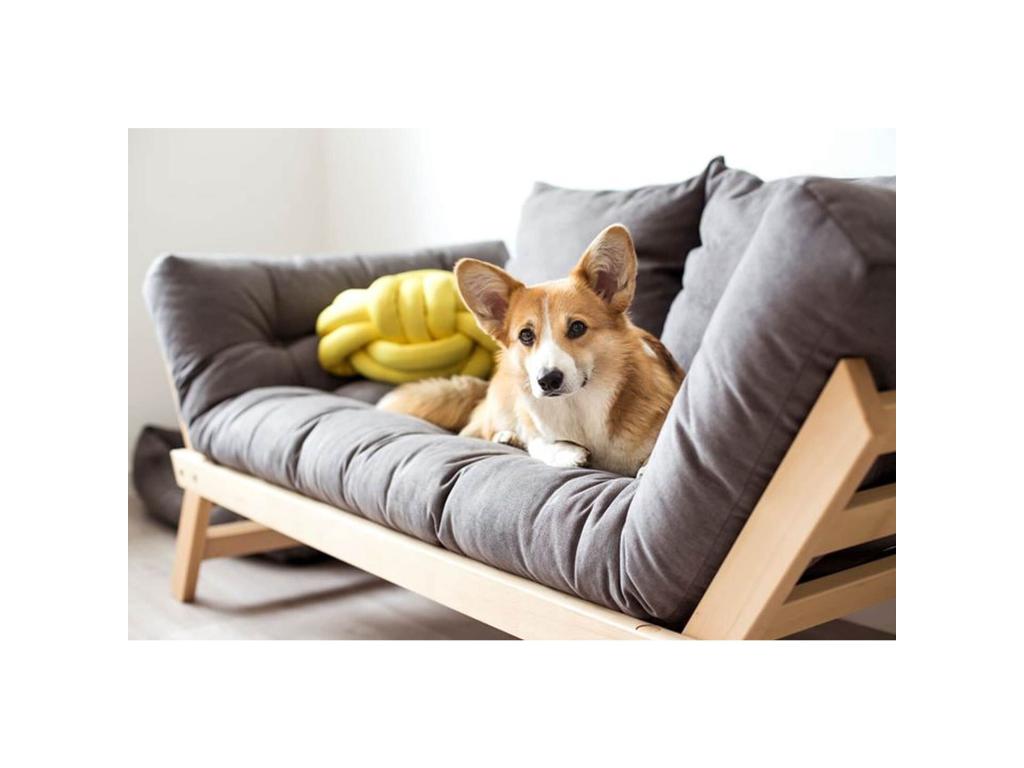 Yellow Sofa Bed SOGH74918