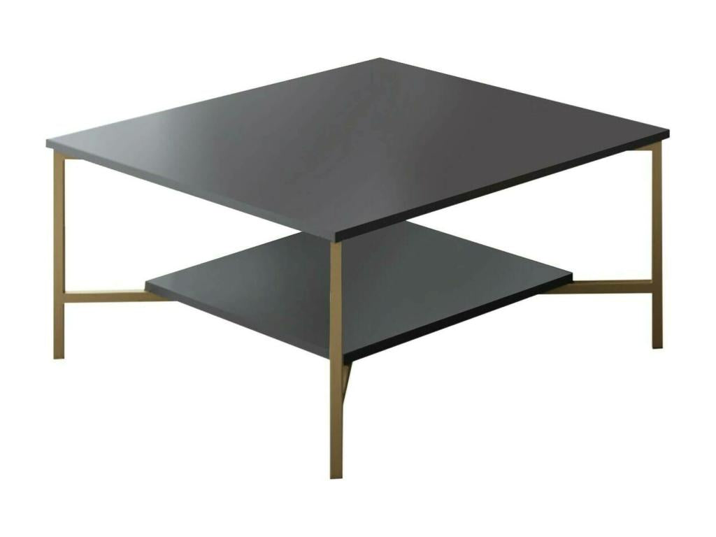 Coffee table, magazine rack for sofa, living room shelf, 80x80x40 cm, anthracite and black, XJZE92540