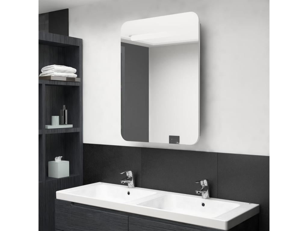 Bathroom cabinet with LED mirror, white and oak, 60x11x80 AOLG04734